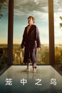 笼中之鸟封面图