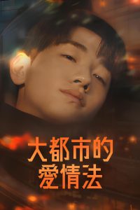大都市的爱情法封面图