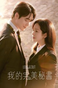 我的完美秘书